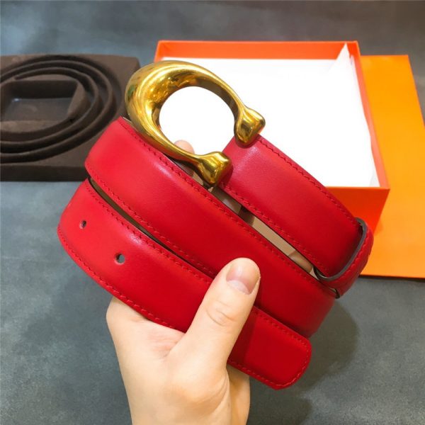 Gancio Belt - Image 6