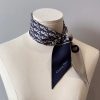 Dior blue letters small ribbon