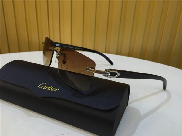 Cartier 3524012 Black Cattle Horn Eyeglasses In Silver